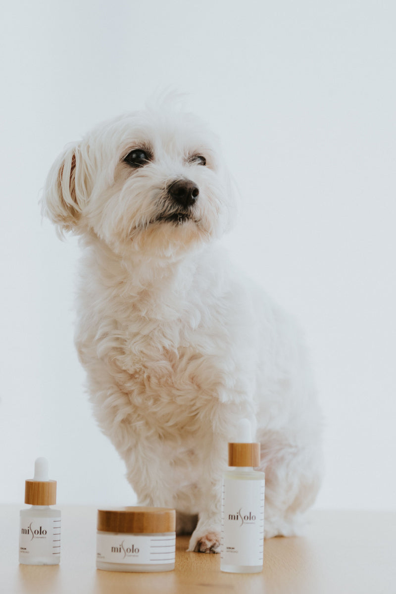 Pet Products